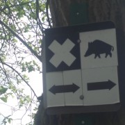 Schweine biegen bitte rechts ab ...