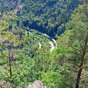 Auf-der-Thringischen-Loreley