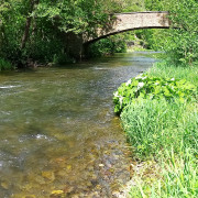 Im-Tal-der-Schwarza