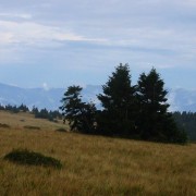Über eine Hochgebirgswiese geht es zum höchsten Gipfel der Lúčanská Malá Fatra
