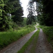 Ausoniusweg beim Ohligsberg