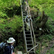Der Abstieg ins Wutachtal über eine angekündigte „steile Leiter“, die sich als Treppe mit Geländer erwies.