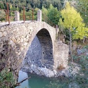 Die Ponte Laricio
