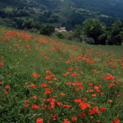 Am Rande der Monti Sibillini bei Fiastra