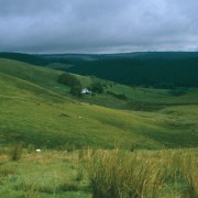 Die Farm Nant-Llwyd und das Camddwr Tal