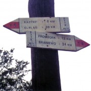 Der Kopernikusweg geht zwischen Frombork (Frauenburg) und Elblag (Elbing) über den E9