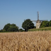 Windmühle bei Wolfshuis