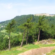 Blick zurück vom Fort auf die Festung