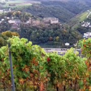Blick auf Burg Rheinfels