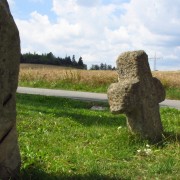 Das Steinkreuznest vor Neidenberga.