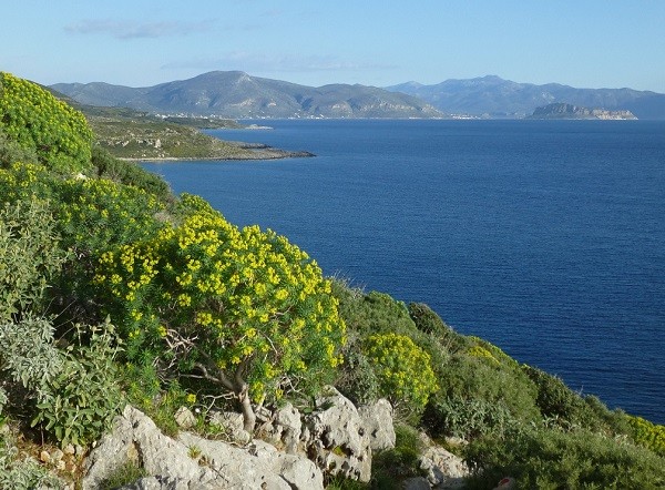 Küstenpfad bei Agios Fokas
