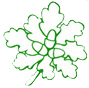 odenwaldclub-logo